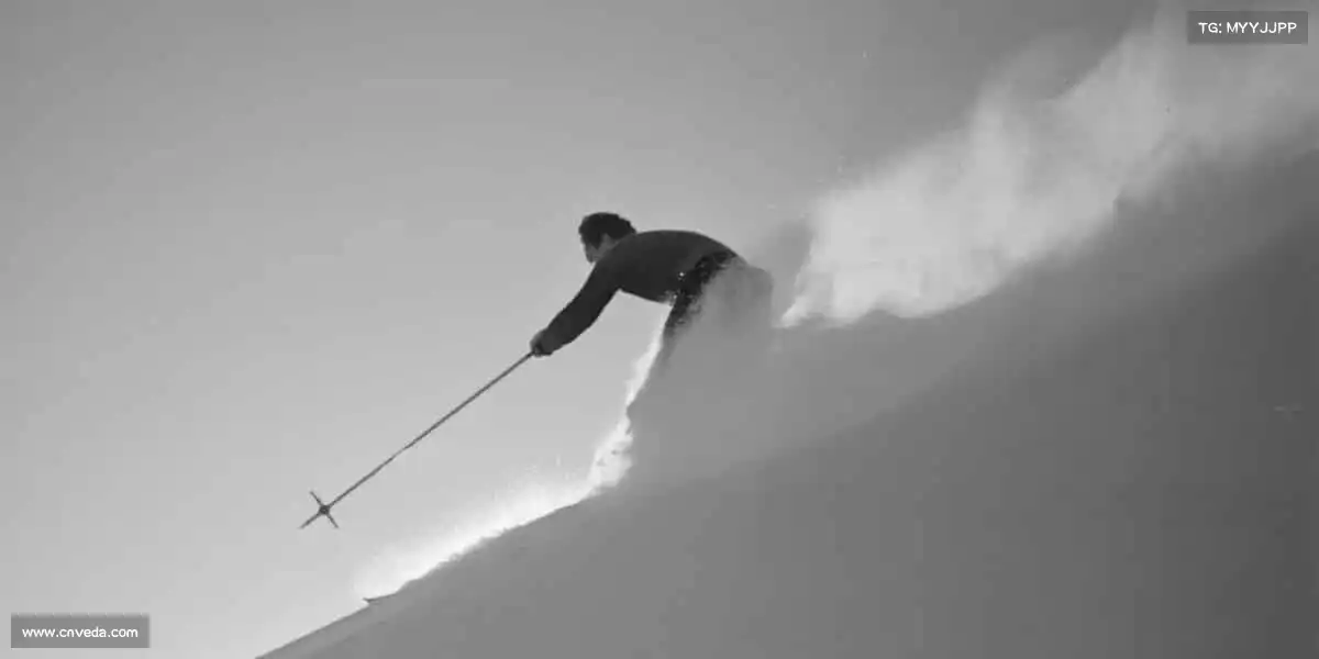 行业领先的理由